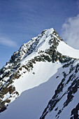 Großglockner mit Glocknerleitl, Glocknergruppe, Nationalpark Hohe Tauern, Osttirol, Tirol, Österreich