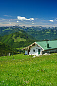 Blick über Alm auf Kranzhorn und Bayerische Alpen im Hintergrund, Spitzstein, Chiemgauer Alpen, Oberbayern, Bayern, Deutschland