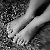 Füße mit einer Ameise (Schwarzweißaufnahme unter Nutzung von Lensbaby-Technik), Borden, Western Australia, Australien