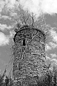 alter Turm mit Bäumen bewachsen, County Leitrim, Irland, Europa (Schwarzweißaufnahme)