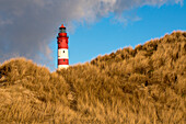 Amrum Lighthouse behind sand dunes on a sunny Winter's day, Amrum island, Schleswig-Holstein, Germany, Europe