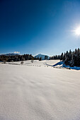 Winter scenery, Ramsau am Dachstein, Styria, Austria