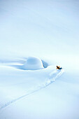 Skifahrer kurvt um Pillow, Chugach Powder Guides, Girdwood, Alaska, USA