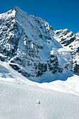 Skifahrer fährt von Königspitze ab, Sulden, Ortler Alpen, Südtirol, Italien