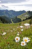 View to Schoenfeld alps, Mangfall Mountains, Bavaria, Germany