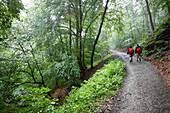 Hikers passing a forest in rain, Doerscheid, Rhineland-Palatinate, Germany