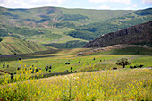 Landscape south of Erzurum, east Anatolia, East Turkey, Turkey