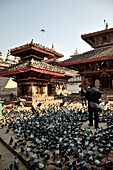 Temples of the square of Durbar square, invaded by pigeons, to Khatmandu, Nepal