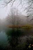 The lake Cavone, in the Regional Park of Corno alle Scale, set a mystic fog which surrounds the colors of autumn.