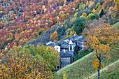 Autumnal colours in the trees, and a little alpine village, Valtellina, Lombardy