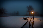 A faint light illuminates the garden deep in the fog