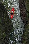 A man Paddles on the Alseseca River  in the Veracruz region of Mexico while scouting for huge whitewater.