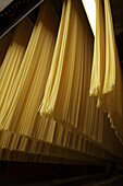 Spaghetti is dried on a conveyor belt at the Barilla pasta factory near Parma.