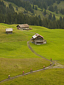 Six mountain bikers are riding through the green fields above Grindelwald.