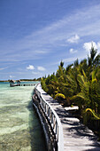 THATCH CAYE, BELIZE. A boardwalk near the crystal clear waters of the Caribbean.