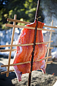 TOFINO, BRITISH COLUMBIA, CANADA. Salmon cooks in the native people style over an open flame.