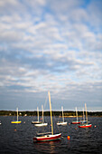 EAST BOOTHBAY, MAINE, USA. Boats float in a harbor on a sunny evening.
