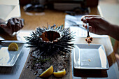 Two friends eat a large shelled sea urchin at the Sea Rocket Bistro restaurant in San Diego,  Ca. The urchin was caught only hours earlier by a San Diego diver,  who personally delivers his catch to various seafood restaurants in the area.