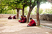 India, Jammu and Kashmir, Ladakh. Novice monks reading school books on the grounds of The Drukpa Kagyud Primary School. The school is part of Hemis Buddhist Monastery located 45 kilometers from Leh in Ladakh, Northern India.