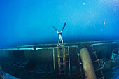 Blowing bubble-rings while diving the Kittiwake Shipwreck off Grand Cayman Island.
