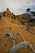 Gayle Smith biking the Thunder Mountain trail, Utah.