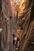 Paul Midkiff, Jane Guyer and Brad Tollefson canyoneering in Bluejohn canyon, Robbers Roost area, Utah.