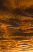 A passing storm produces a dramatic sunset on November 20, 2006 in Fort Collins, Colorado.