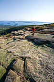 Young man hikes on the summit of Cadillac Mountain, Acadia National Park, Maine, USA. releasecode: LS_004_jb