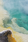 Steam rising on a thermal pool on February 13, 2008 in Yellowstone National Park, Wyoming.