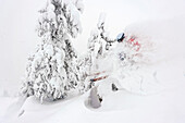 Skifahrer fährt durch den tief verschneiten Wald, Kaltenbach, Zillertal, Österreich