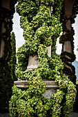 Kletterpflanze an Säule in Villa del Balbianello, Lenno, Comer See, Lago di Como, Lombardei, Italien, Europa