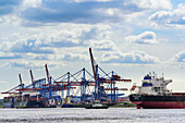 Container ships at container terminal Altenwerder on the river Elbe, Altenwerder, Hamburg, Germany