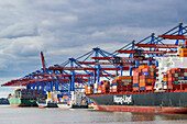 Container ships at container terminal Burchardkai, Waltershof, Hamburg, Germany