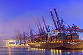 Frachtschiffe am beleuchteten Container-Terminal Burchardkai bei Nacht, Waltershof, Hamburg, Deutschland