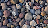 Steine und Muscheln am Strand, Batan Insel, Batanes, Philippinen, Asien