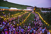 Weinfest an einem lauen Sommerabend: Menschen sitzen inmitten von Weinreben beim Hoffest im Weingut am Stein in der Dämmerung, Würzburg, Franken, Bayern, Deutschland