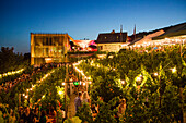 Weinfest an einem lauen Sommerabend: Menschen sitzen inmitten von Weinreben beim Hoffest im Weingut am Stein in der Dämmerung, Würzburg, Franken, Bayern, Deutschland