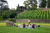 People enjoying a picnic on the banks of the Main river with vineyard behind, Aschaffenburg, Franconia, Bavaria, Germany