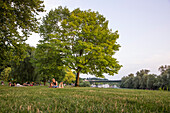 Junge Menschen entspannen sich in Parklandschaft am Ufer vom Fluss Main, Aschaffenburg, Franken, Bayern, Deutschland