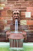 Fountain in Johannisburg Palace Park near the Main river, Aschaffenburg, Franconia, Bavaria, Germany