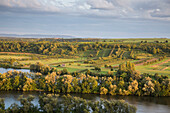 Blick über Weinberge an der Mainschleife vom Fluss Main, nahe Volkach, Franken, Bayern, Deutschland