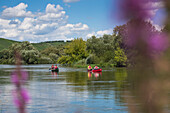 Menschen in zwei Kanus auf Mainschleife vom Fluss Main, nahe Escherndorf, Franken, Bayern, Deutschland