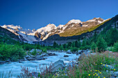 Stream in the mountains with view to Bernina range, valley of Morteratsch, Morteratsch, Bernina, Upper Engadin, Engadin, Grisons, Switzerland