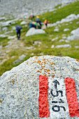 Wegmarkierung an Felsen beim Aufstieg zur Latemar-Hütte, Rifugio Torre di Pisa, Latemar, Dolomiten, UNESCO Welterbe Dolomiten, Trentino, Italien