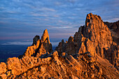 Pinnacles of Latemar in the alpenglow, Latemar range, Dolomites, UNESCO world heritage Dolomites, Trentino, Italy