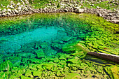 Blaugrüner Bergsee, Lago Caserina, Lagorai, Dolomiten, UNESCO Welterbe Dolomiten, Trentino, Italien