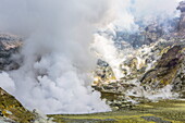 An active andesite stratovolcano on White Island, off the east side of North Island, New Zealand, Pacific