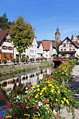 Oppenau, Black Forest, Baden Wurttemberg, Germany, Europe