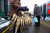 Fish seller at Balezino, 23 minutes stop at the railway station on the Trans-Siberian line, Udmurtia, Russia, Europe