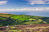 Exmoor countryside and coast in summertime, Exmoor National Park, Somerset, England, United Kingdom, Europe
